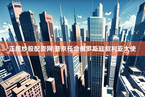 正规炒股配资网 普京任命俄罗斯驻叙利亚大使